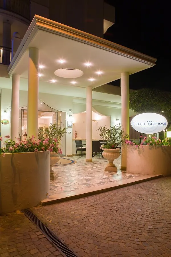 Hotel Soraya - Spiaggia Sawasdee With Beach & Parking リッチョーネ 3*,